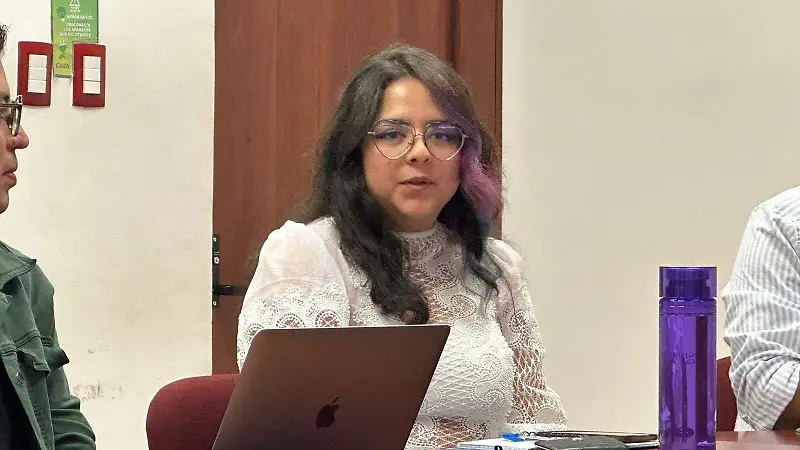 Consejo Directivo del IMJUV 